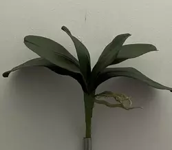 Штучні квіти оптом. Лист з коренем орхідеі
