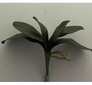 Штучні квіти оптом. Лист з коренем орхідеі