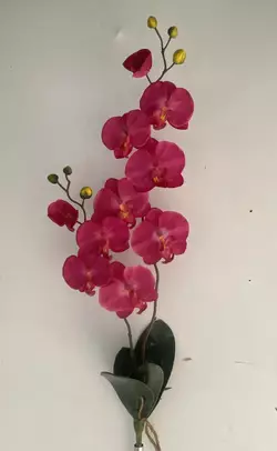 Штучні квіти оптом.  Орхідея гілка с корнем Штучні квіти оптом.  Орхідея гілка с корнем